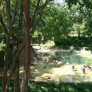 Meet your Posher, Eun